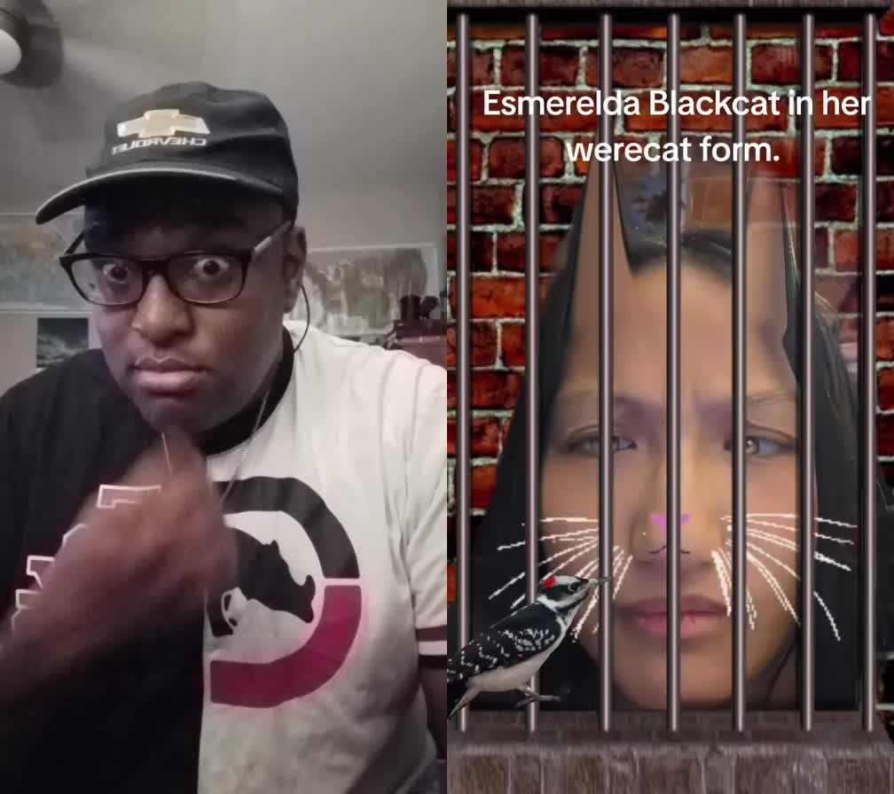 @TevinCc2018