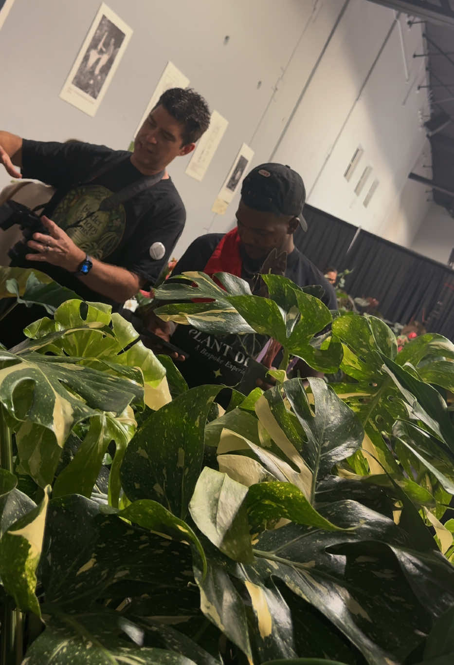 @Plant Deco ATL