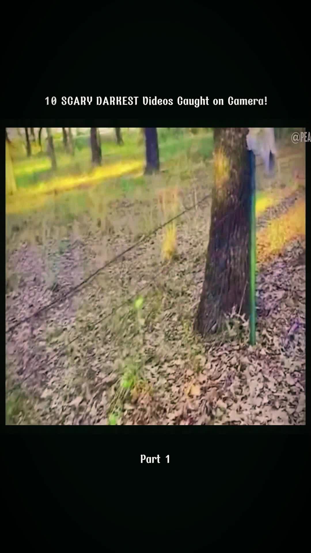 @CreepyStories