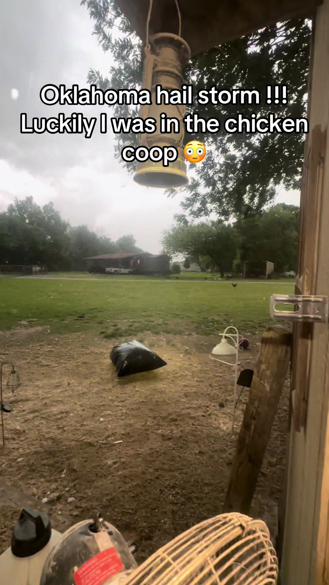 @NonniesFunnyFarm