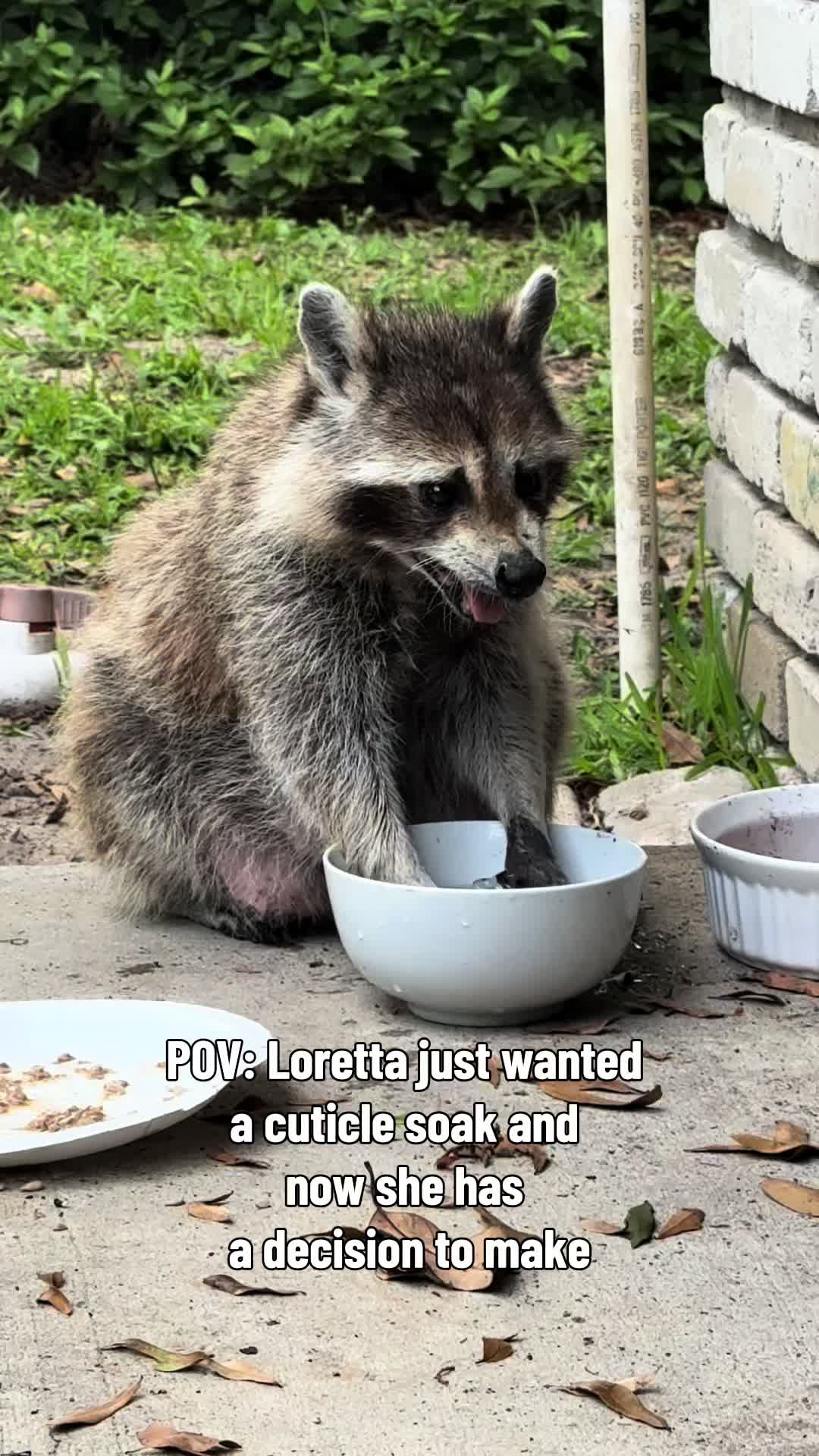 @bonnieontheloose