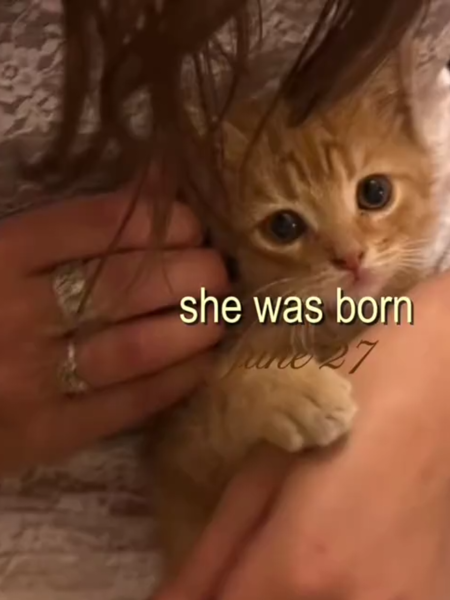 @sara.