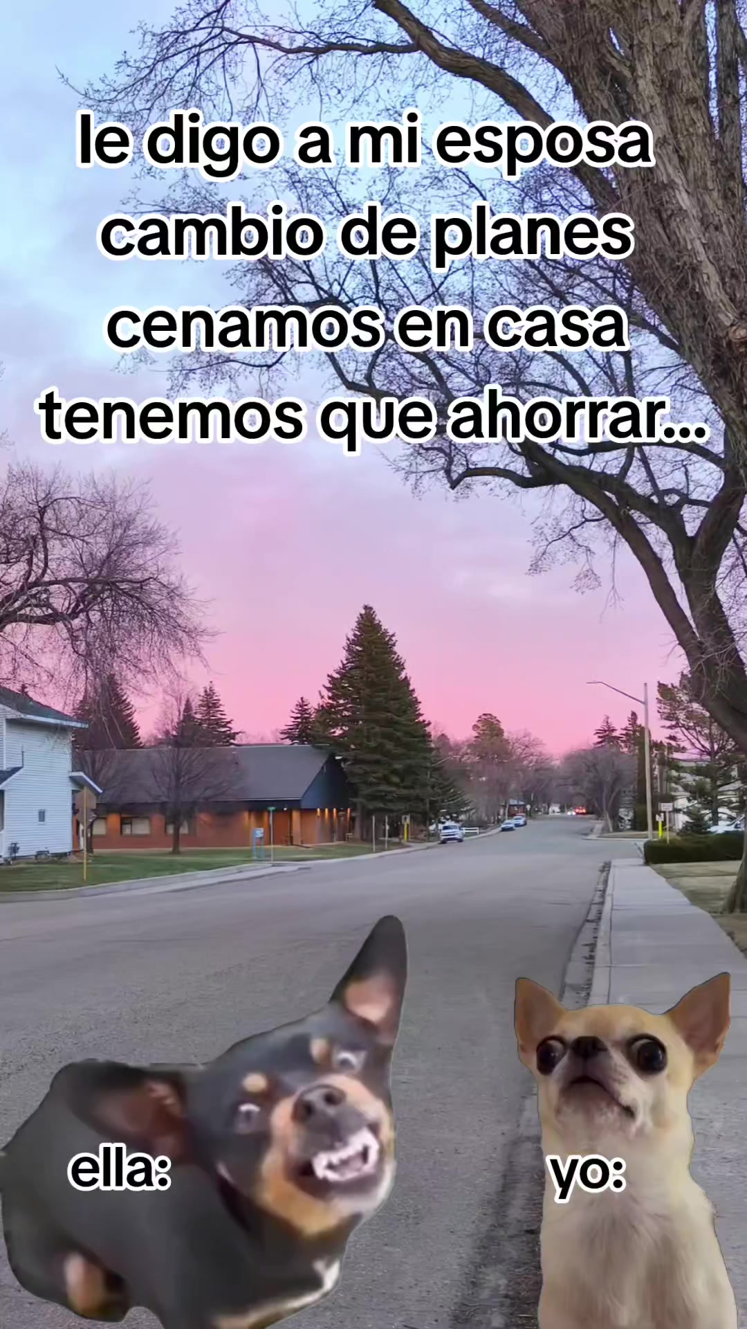 @incaparina_no.1