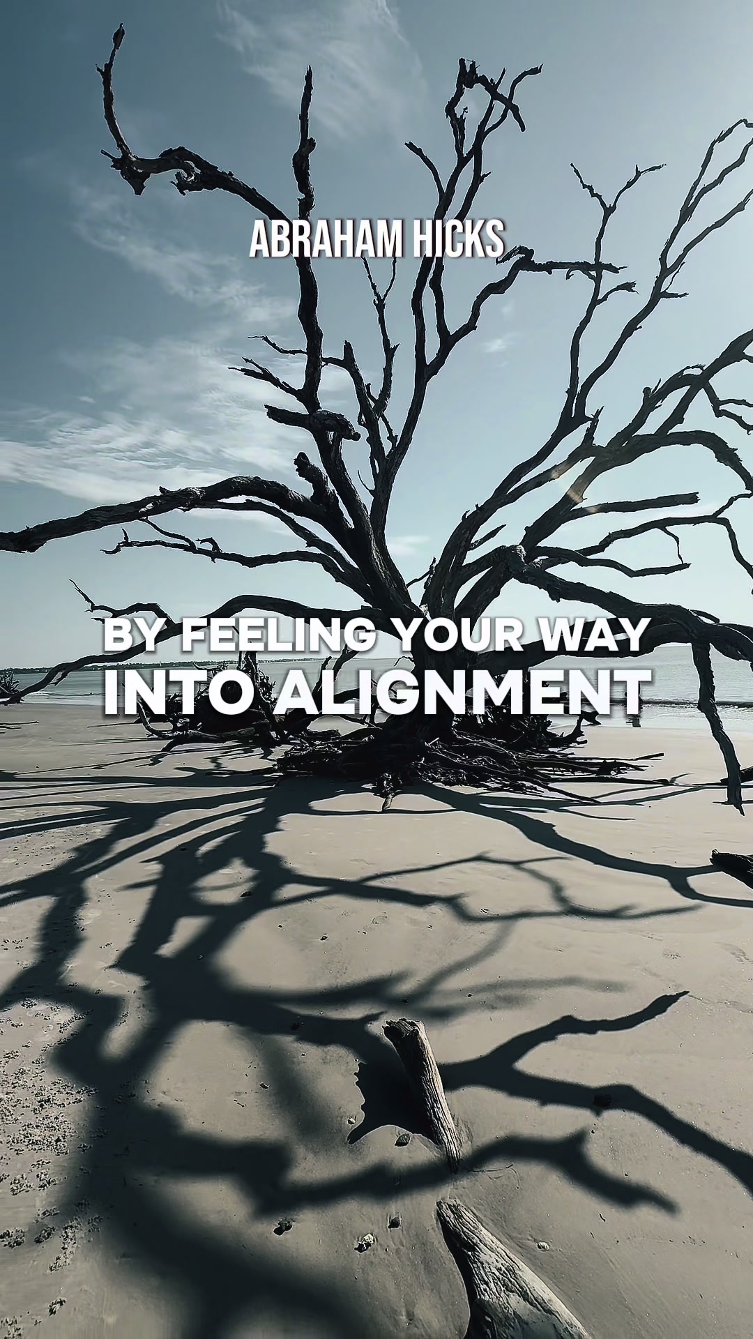 @CONSCIOUS ALIGNMENT