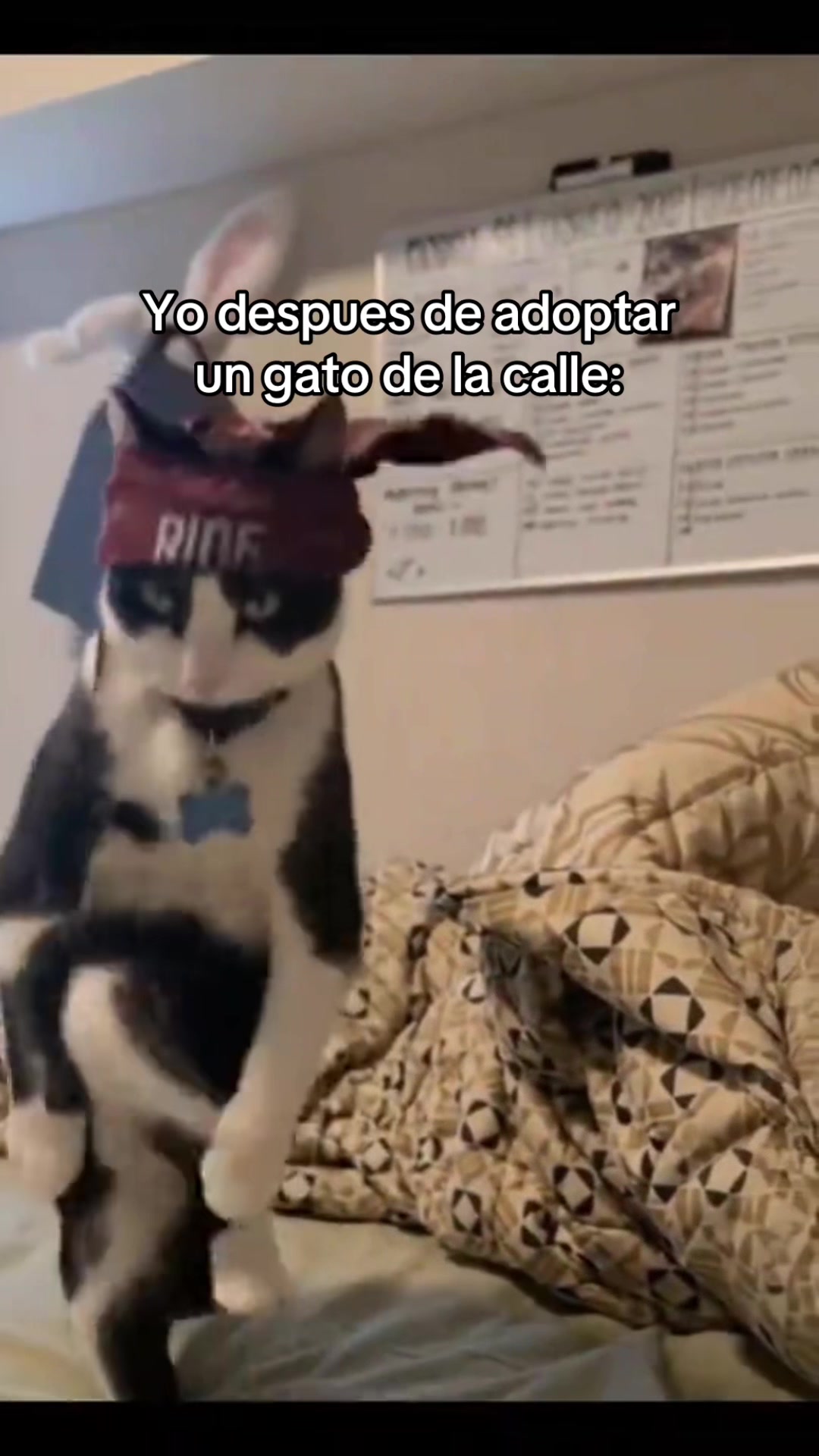 @Daniel Lara