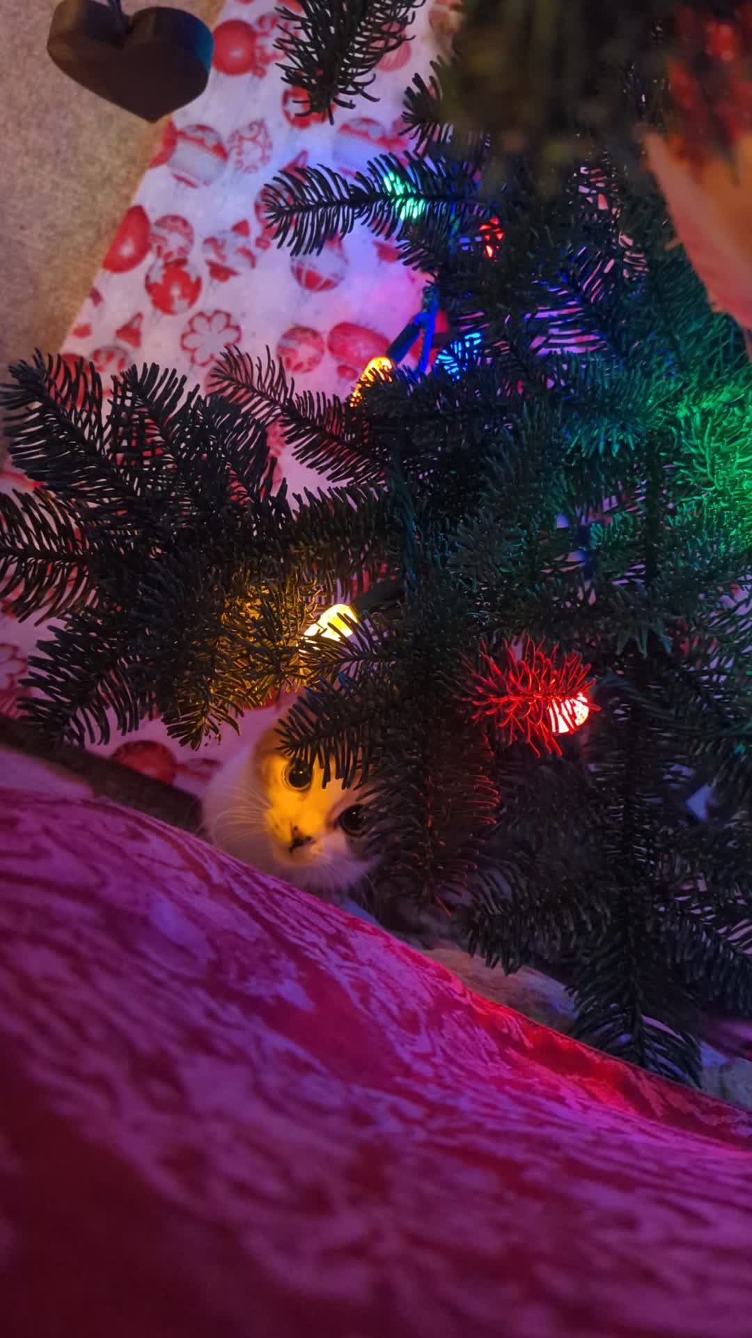 @TheFluffyLarks