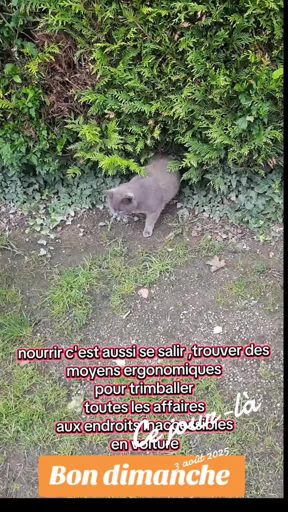 @chatvabien67