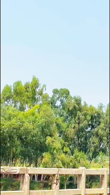 @🦅 Nadan 🦅