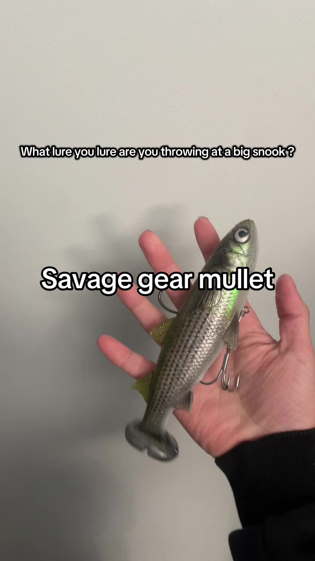 @JoseFishing