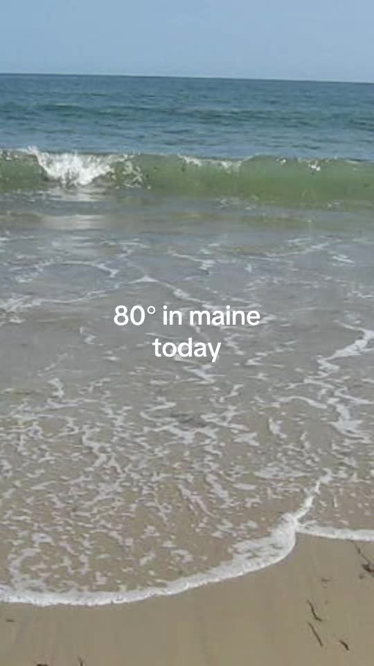@The Maine Tide 🌀