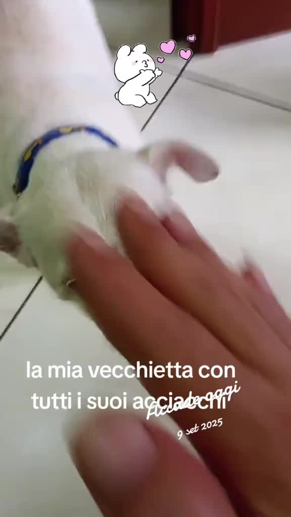 @Santo Pannone 72