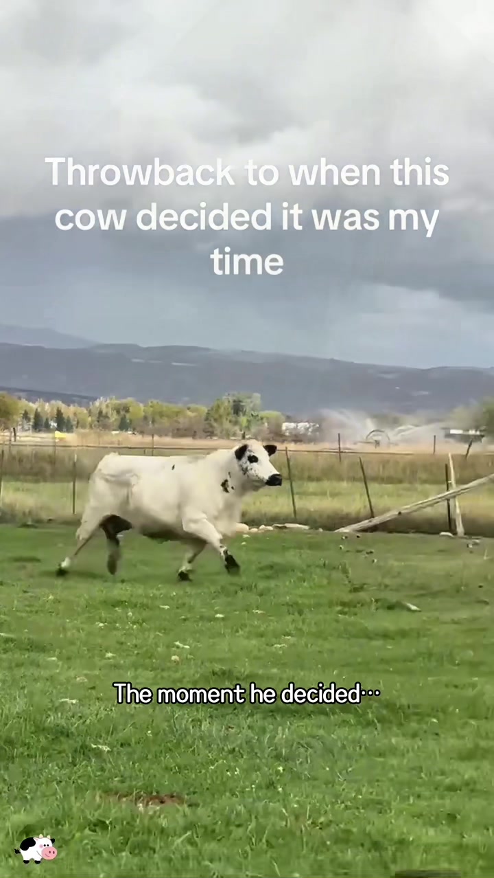 @SneakyFails