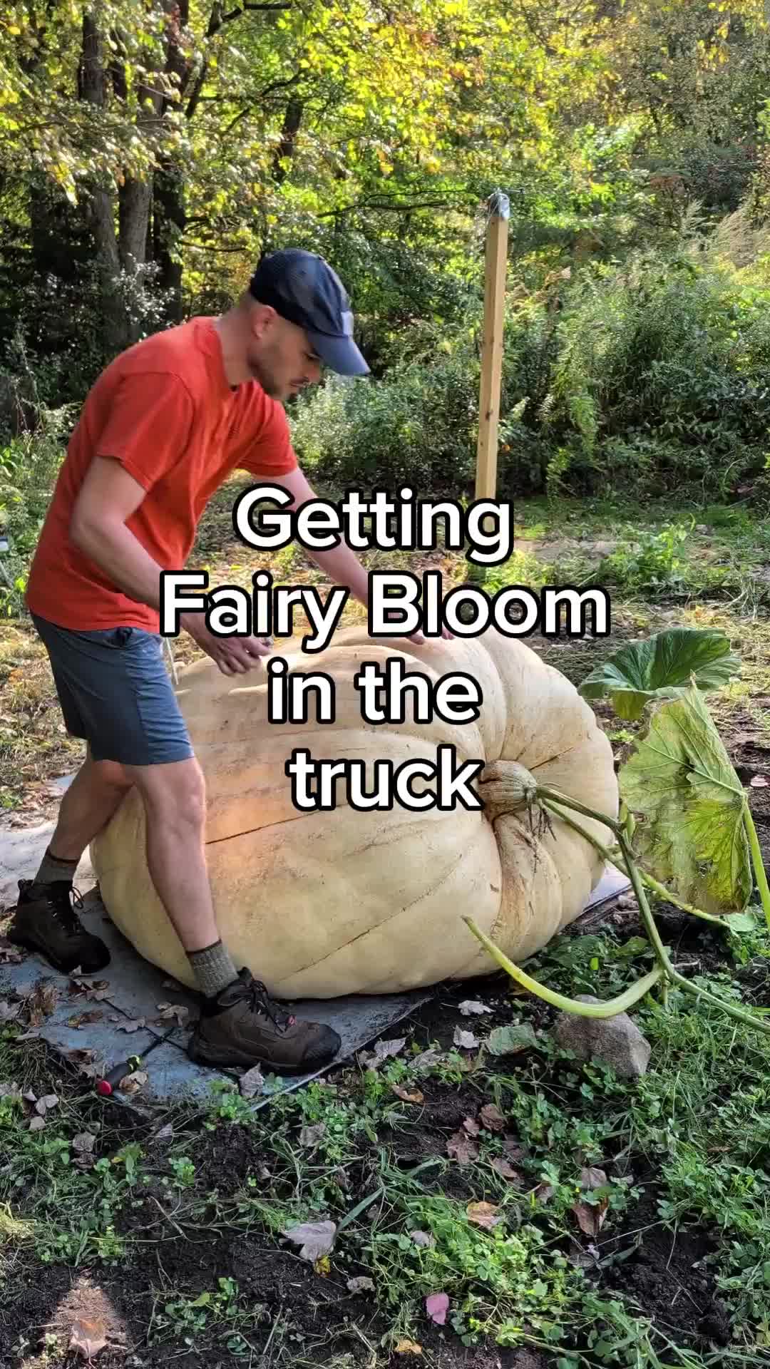 @bigpumpki