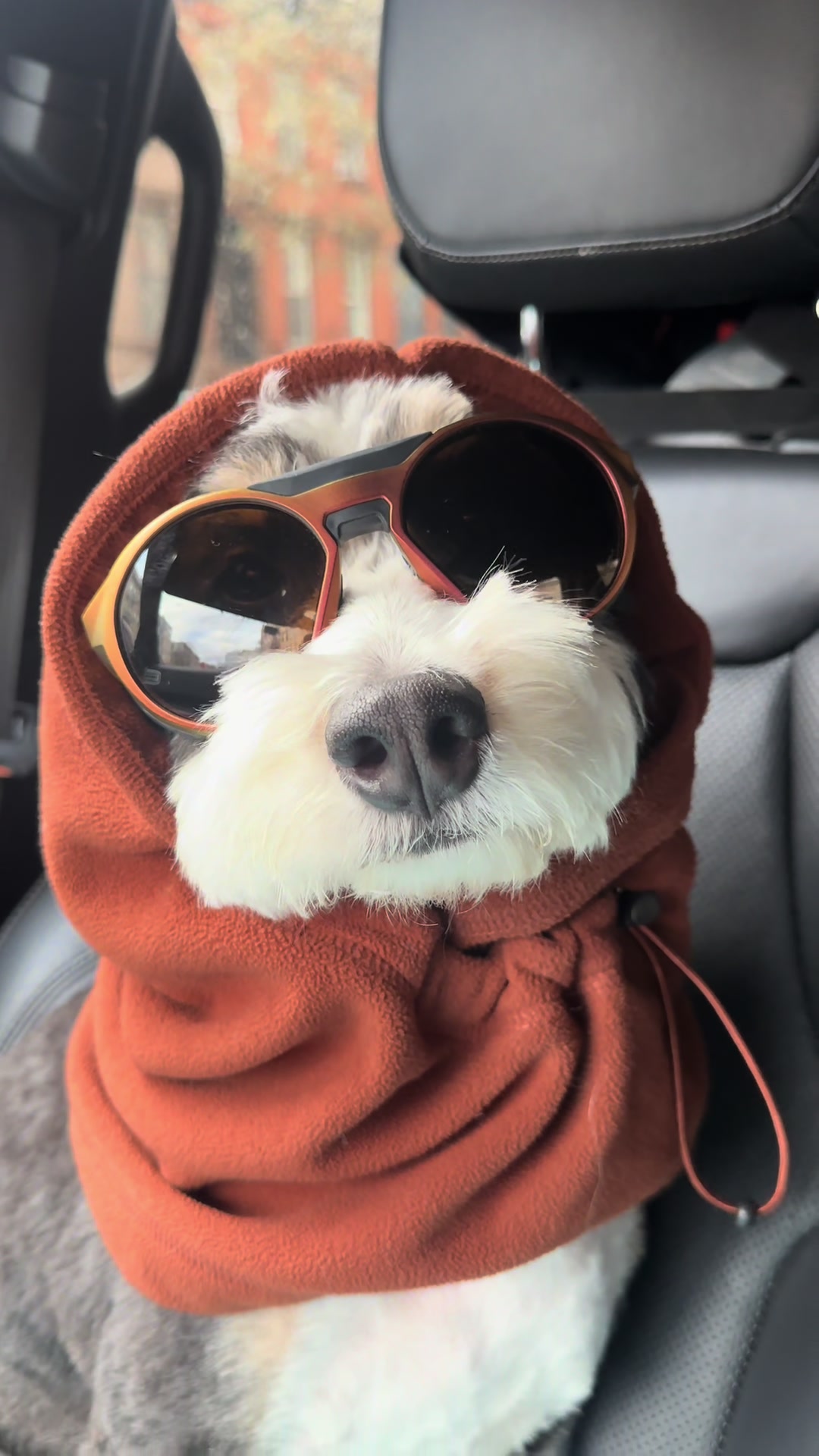 @PuppyPoppyfamily
