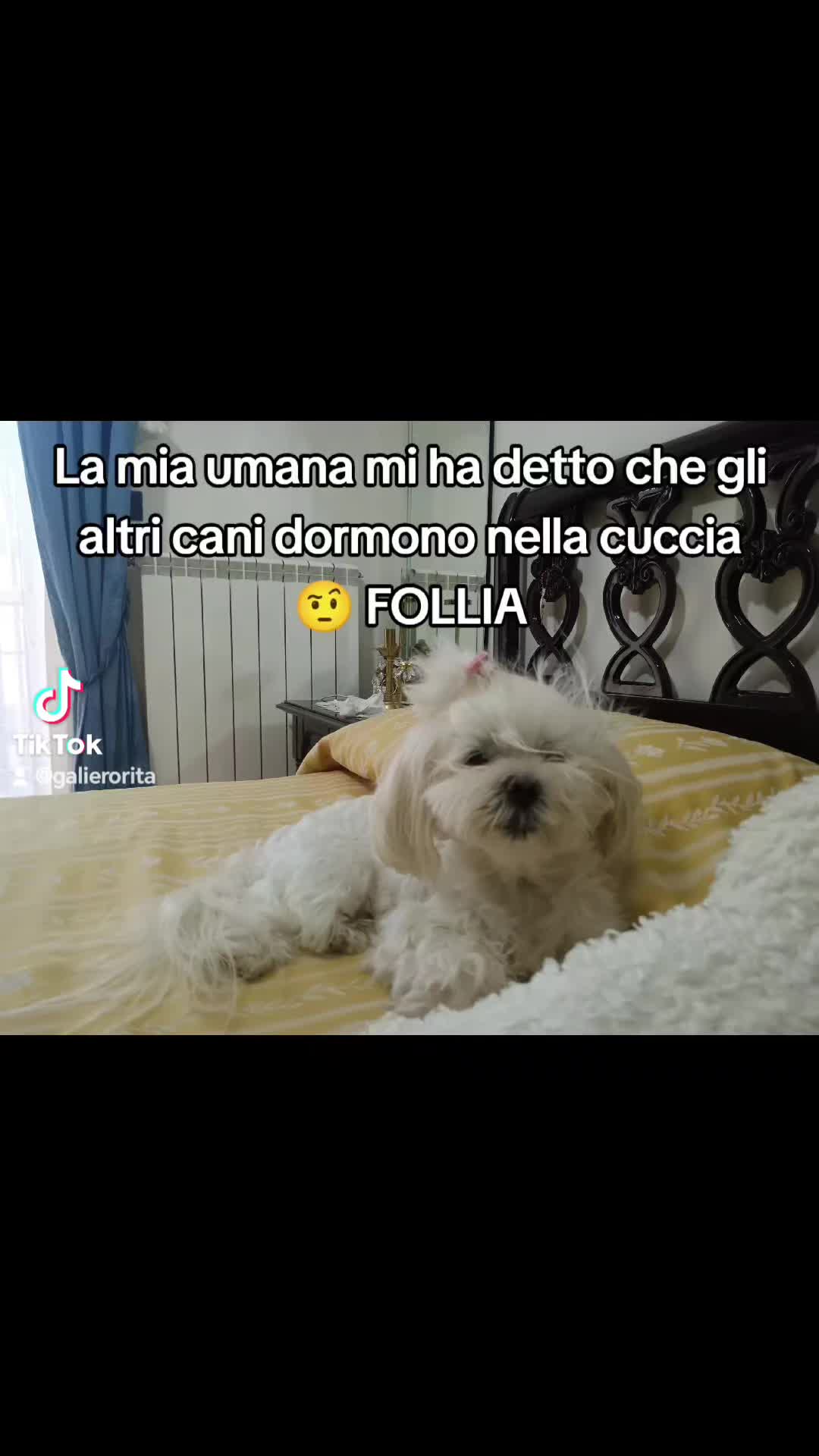 @Rita Gallarello