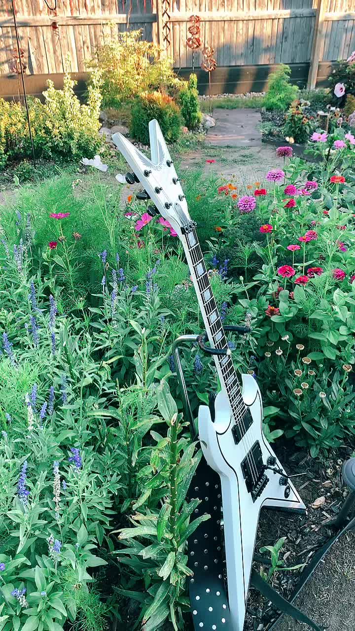 @Garden alive