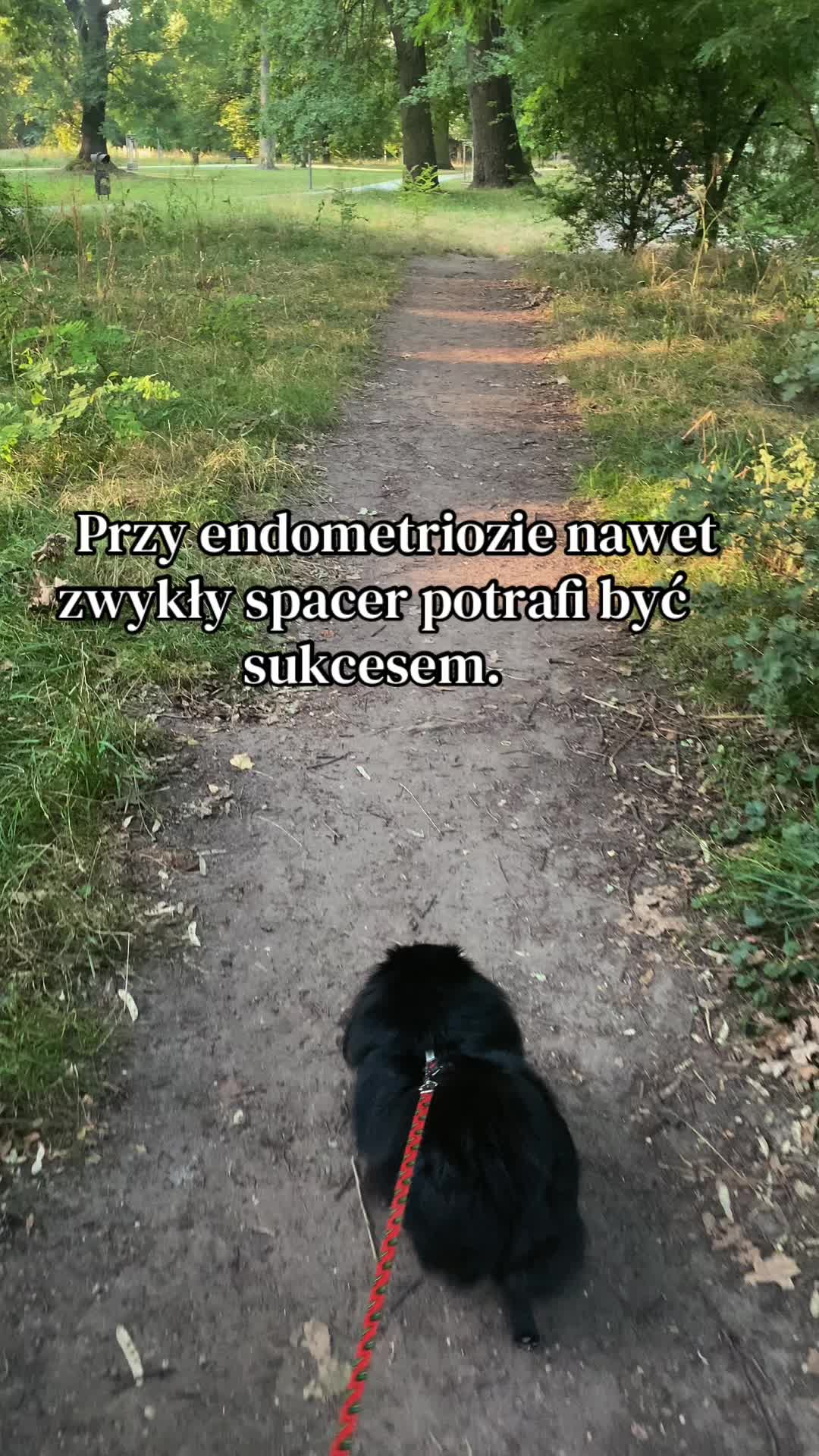 @EndoMona🎗️