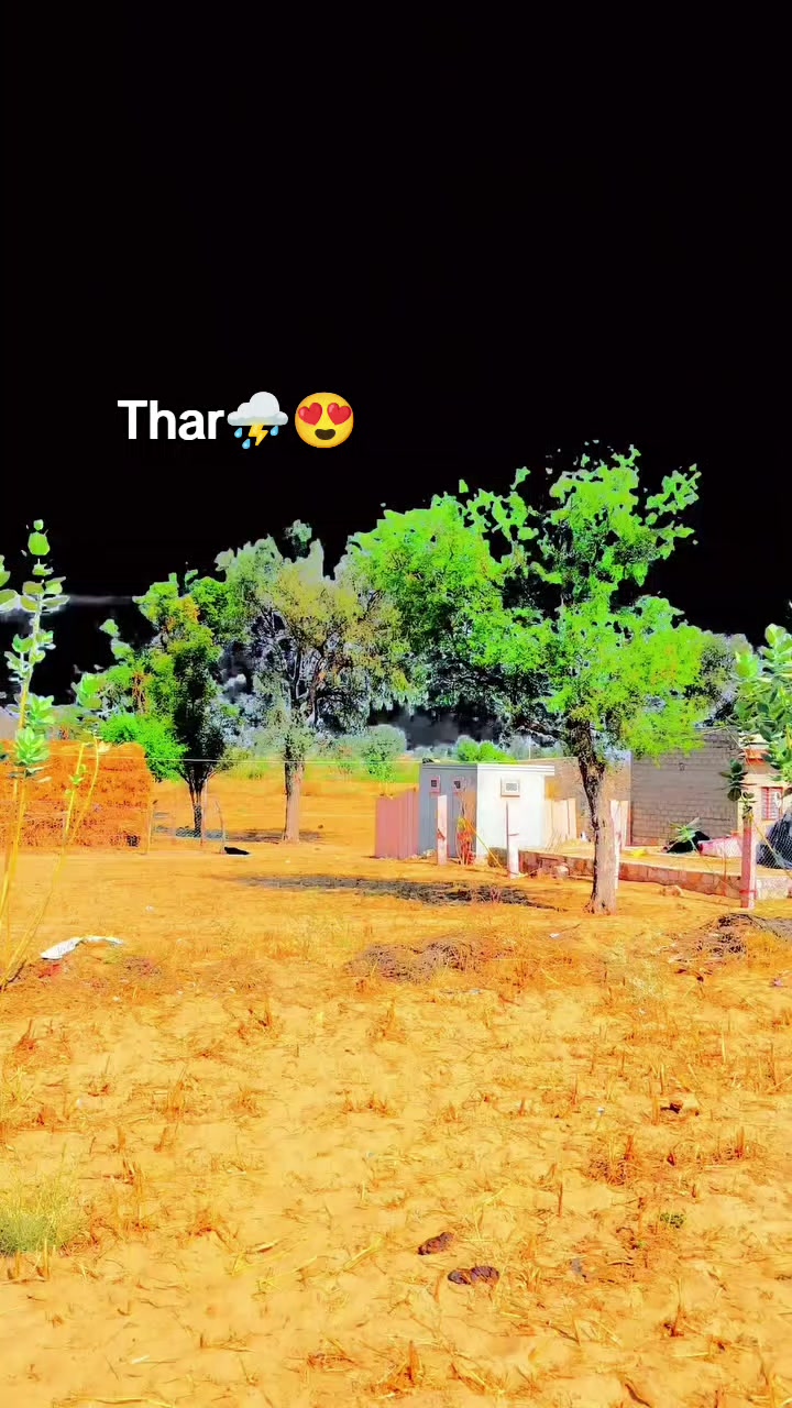 @فوزيه سومرو🥀❤️