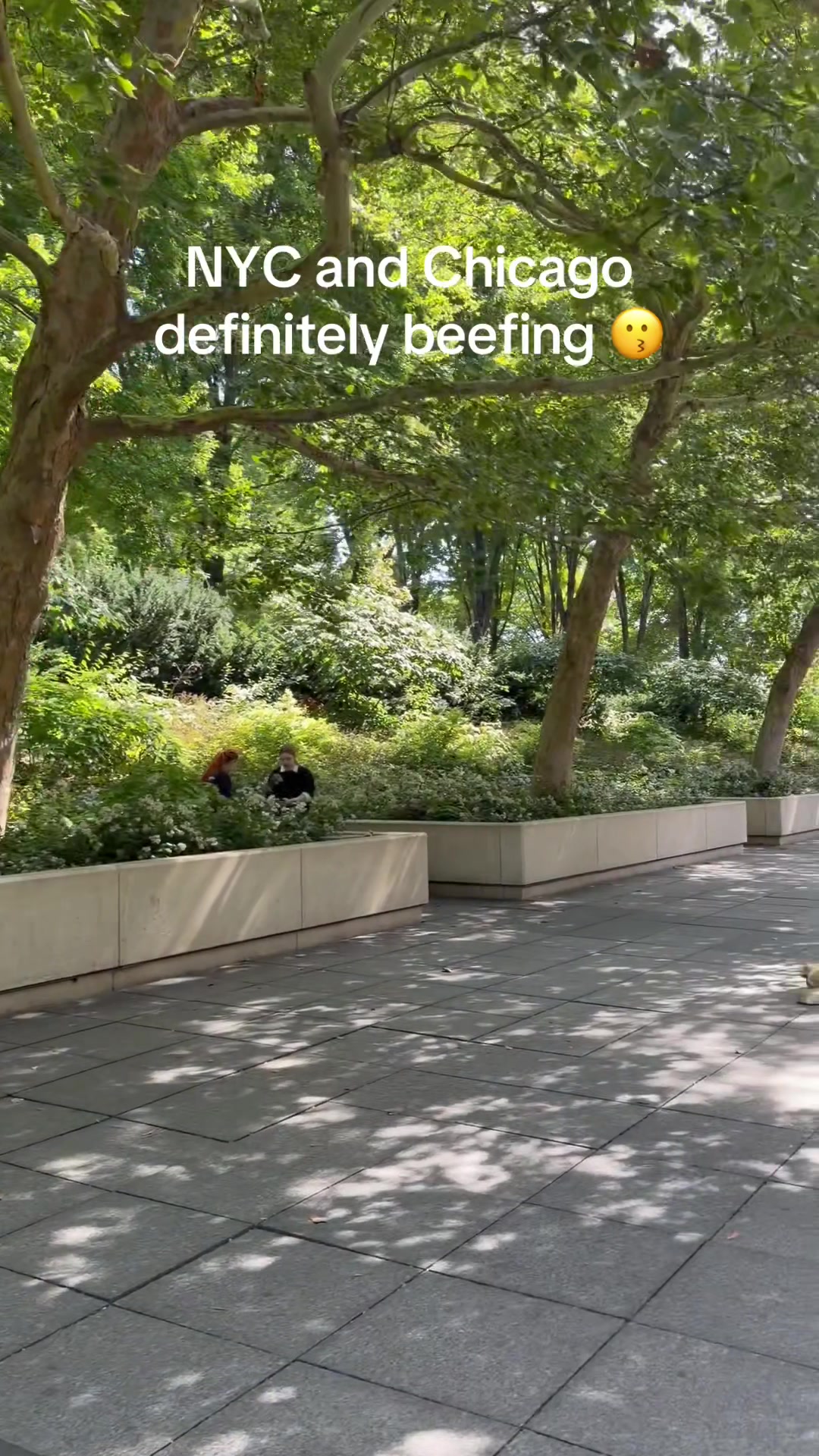 @Baesia