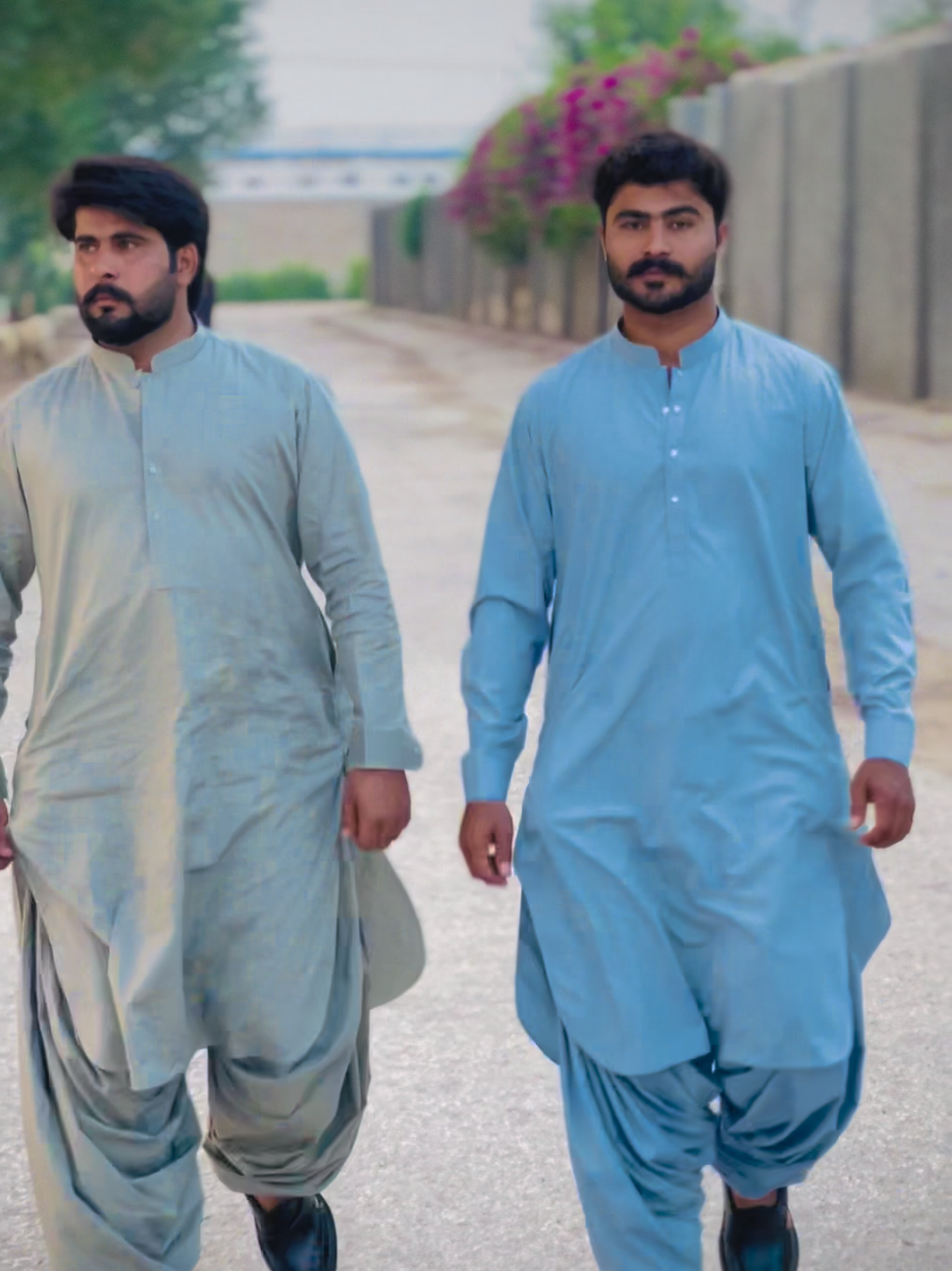 @Gull Hisbaani