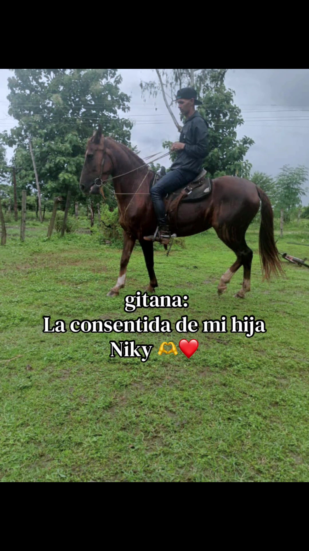 @Milexsy