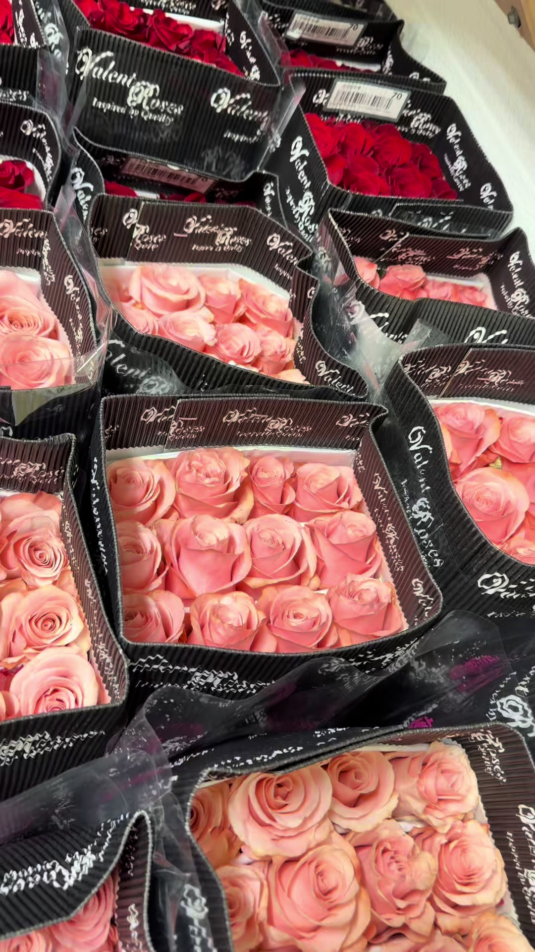 @amorflorale_wholesale