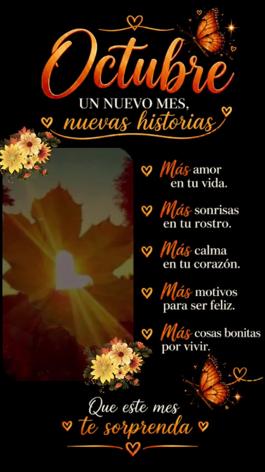 @🎶🎵🎧LUNA🎶🎵🎧