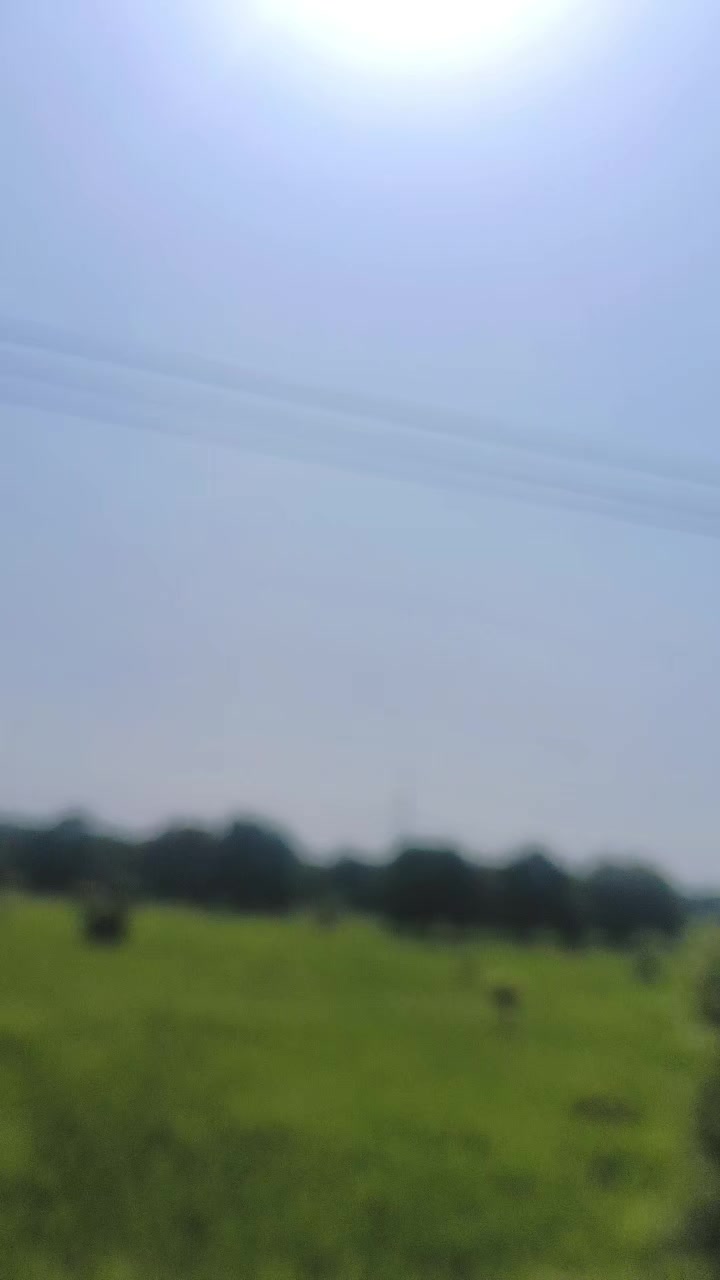 @Tasleem Bano Multan