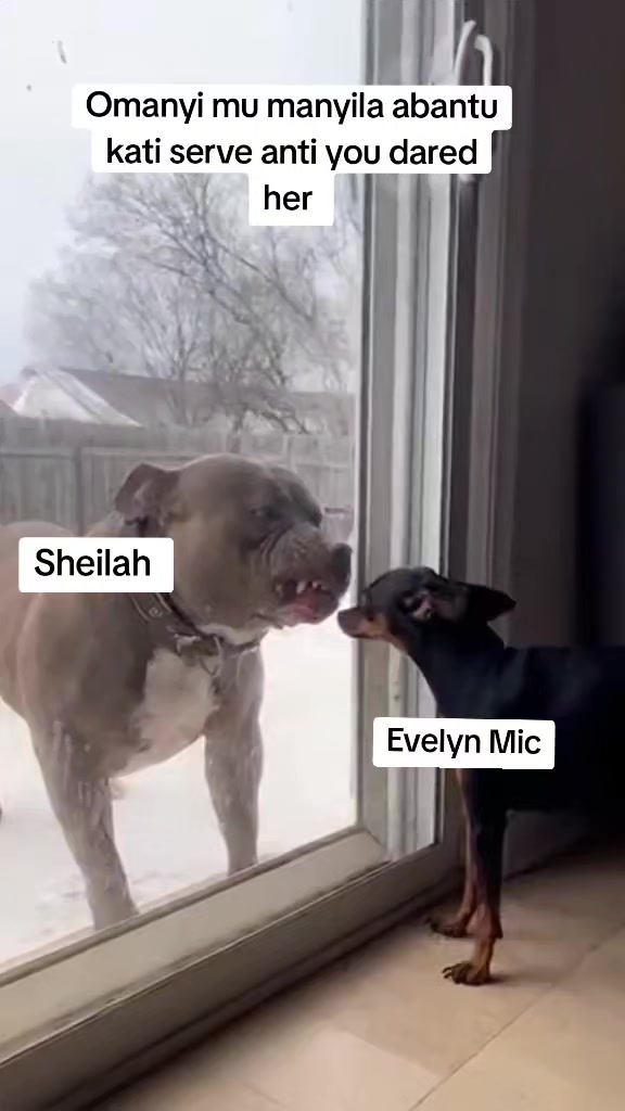 @Kalvyn