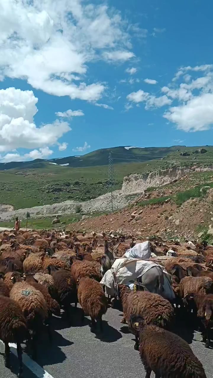@Serhat Karataş322