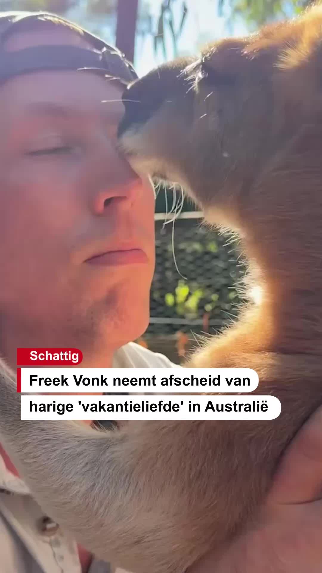 @De Stentor