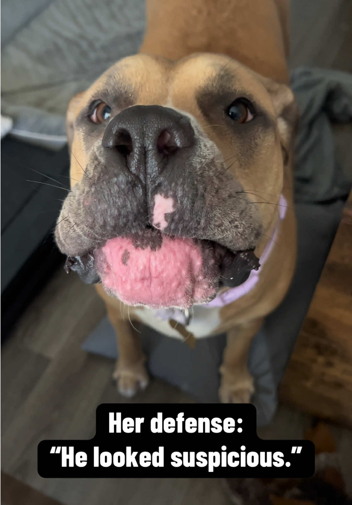 @Nala & Hurley