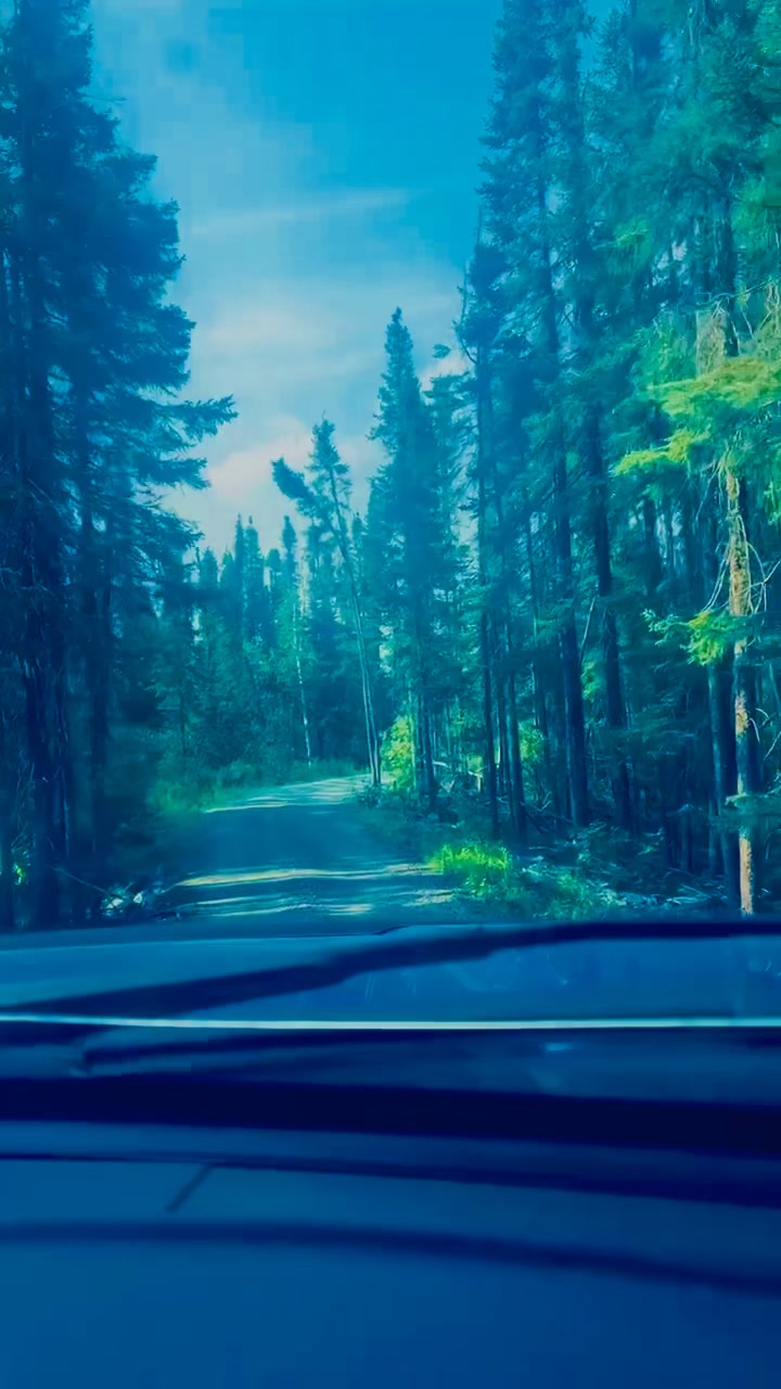 @dennisdouglaskyle