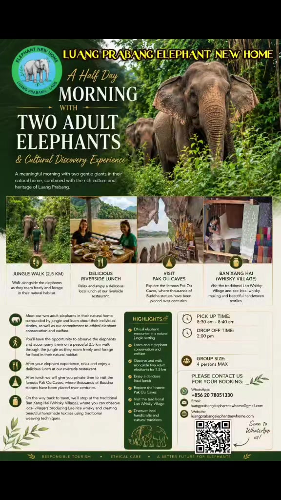 @LuangPrabang Elephant New Home