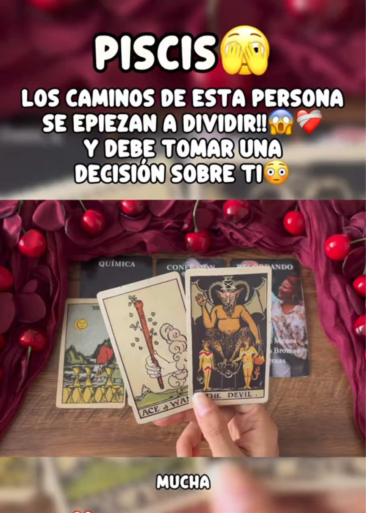@Andy Sun Tarot ☀️