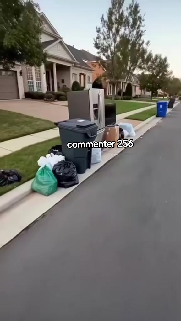@commenter 256