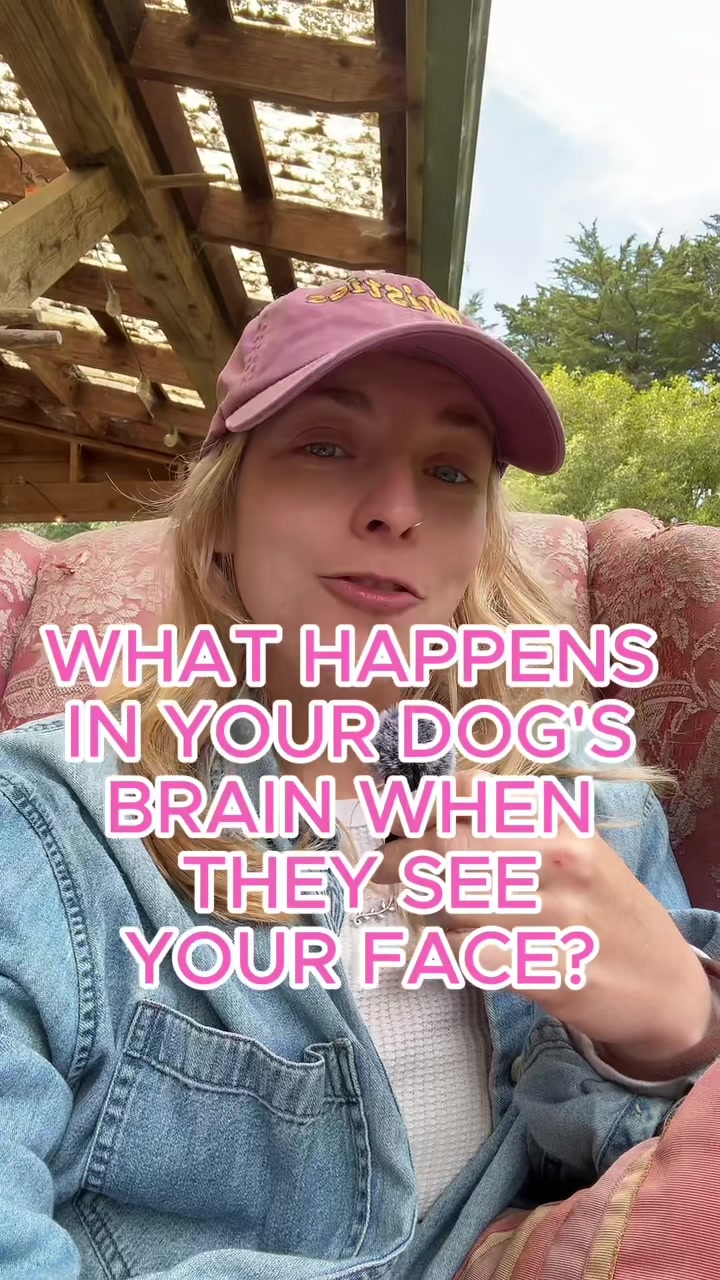 @Lizzy O'Connell