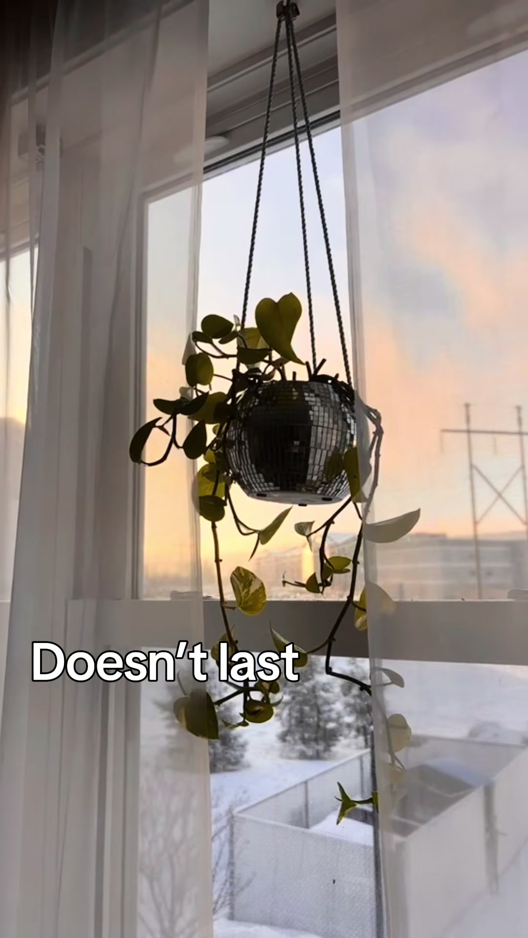 @Kalepa Omega