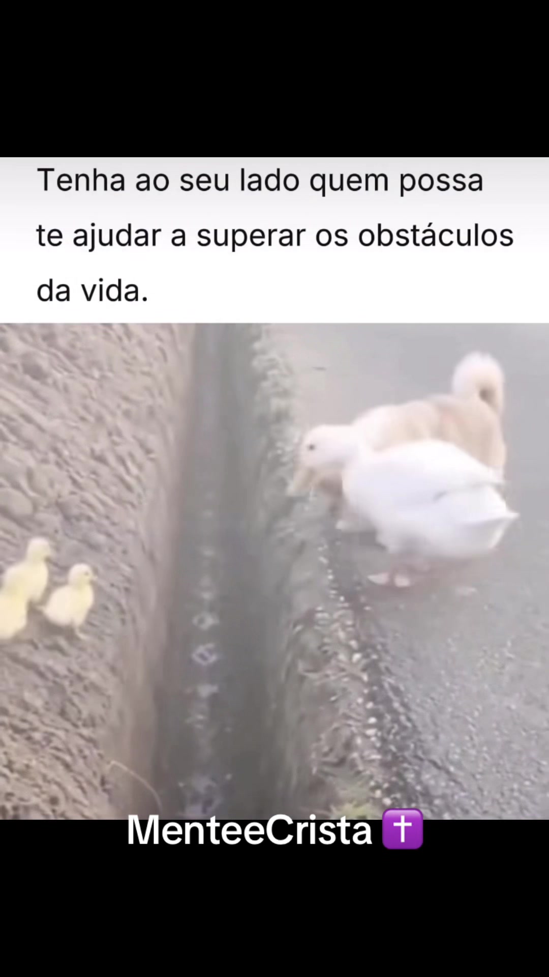 @MenteeCristã✝️