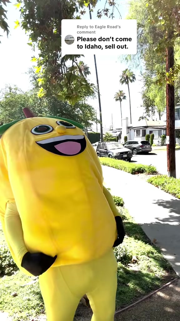 @Sour-Puss