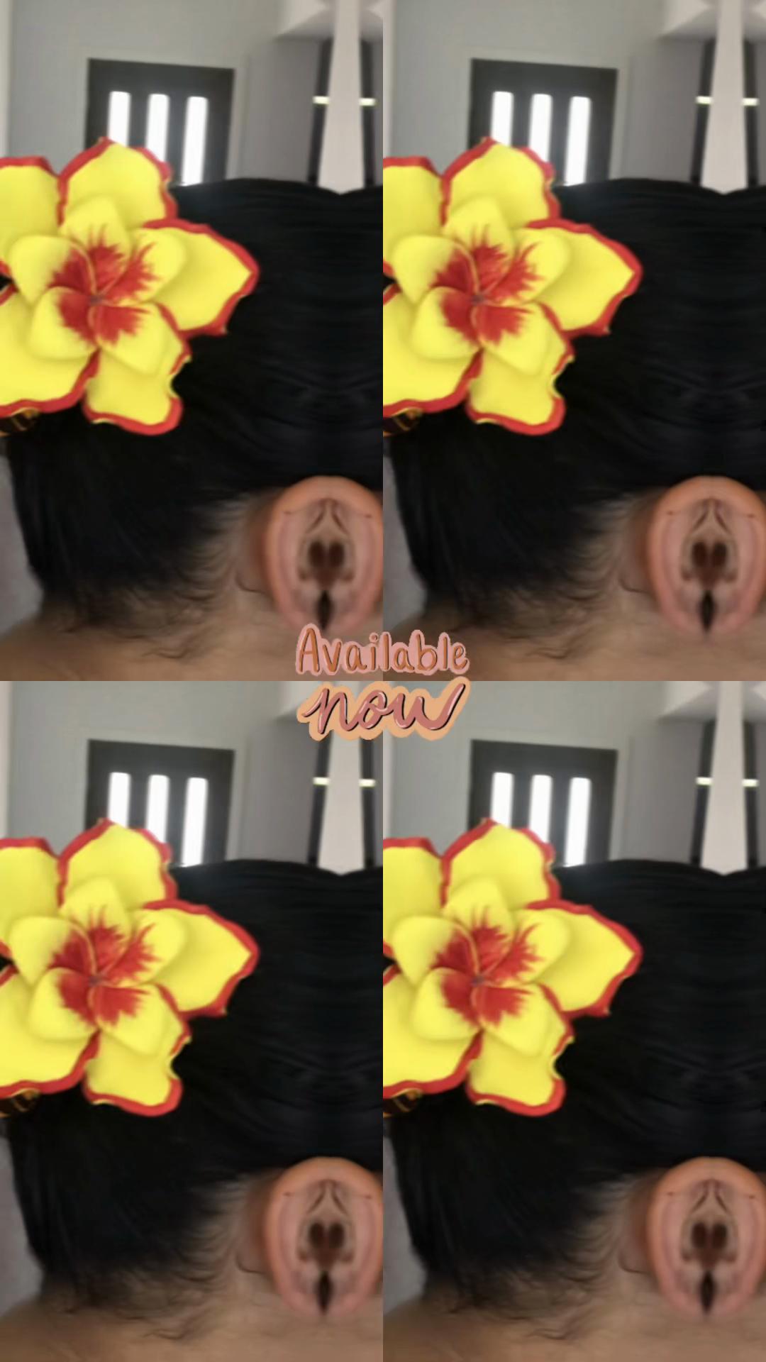 @🌺Island Queen Collection🥥