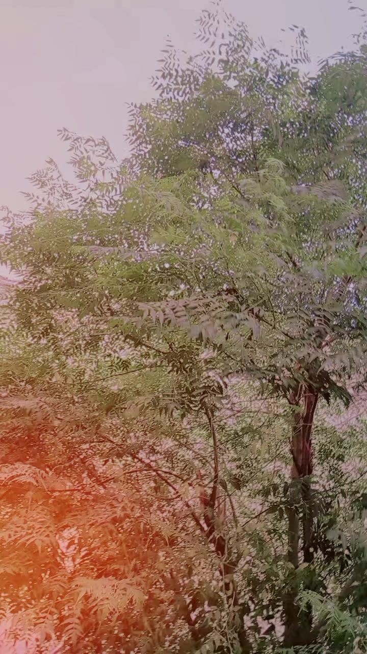 @𝙰𝙻𝙸 𝚁𝙰𝚉𝙰⛎