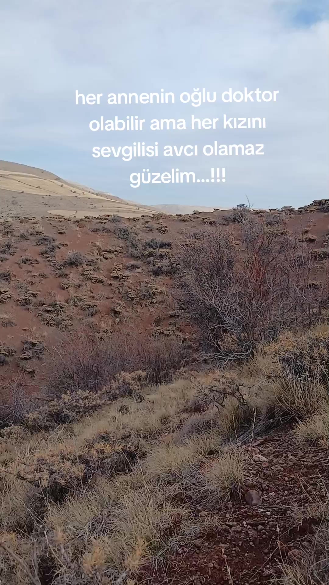 @avci