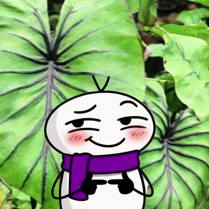 @โจ๐ค ๐๐
ืฅ ๐คโจ๐ฆโฌ๐ชด๐ฒ๐ฝ