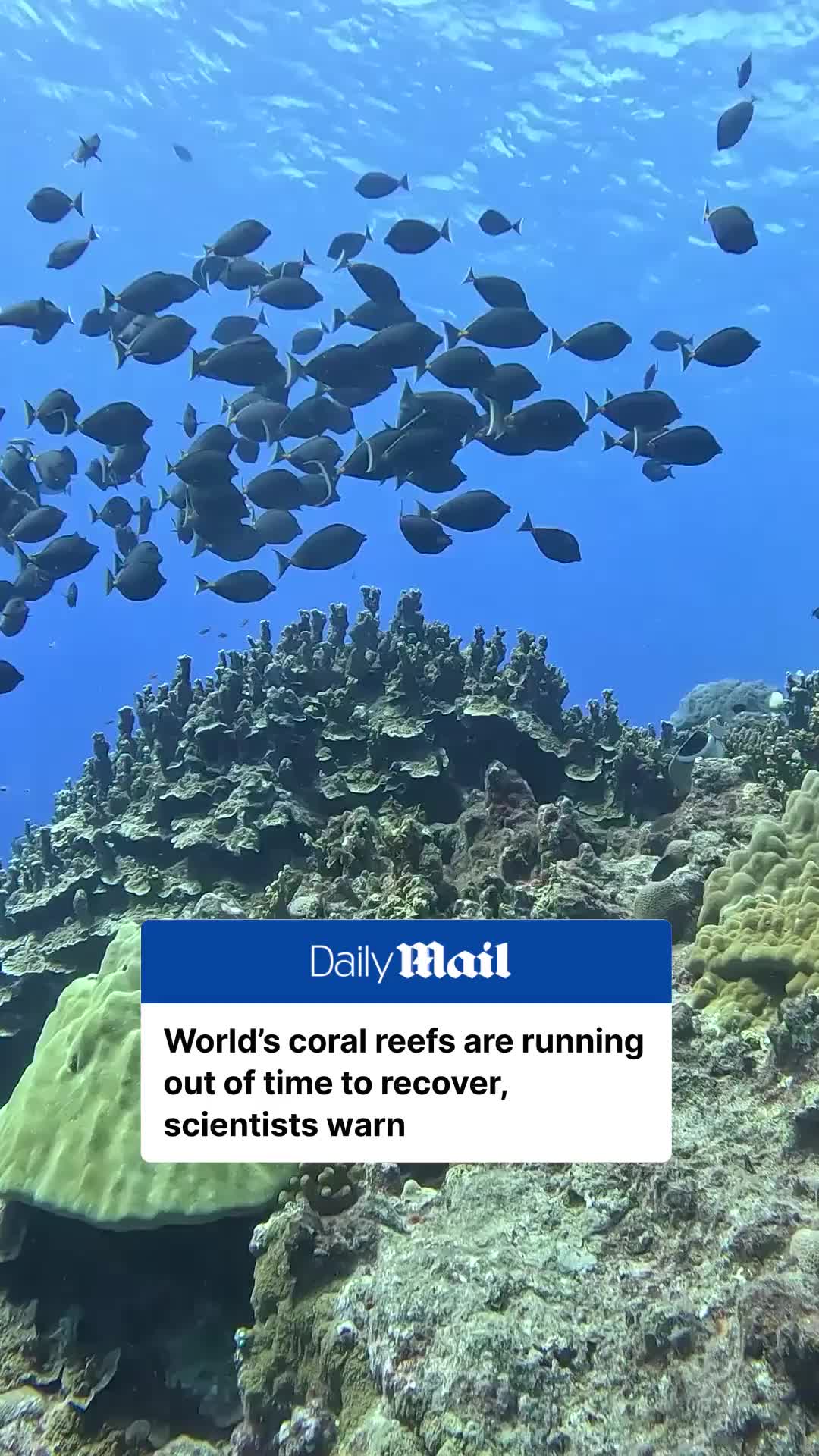 @Daily Mail