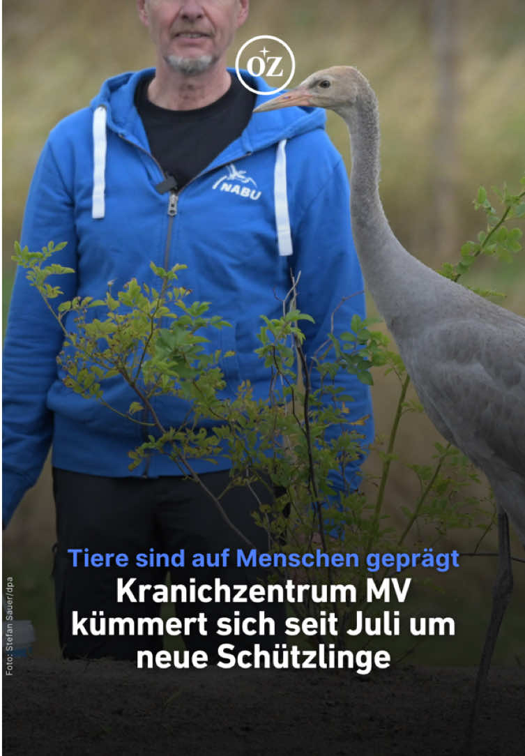 @Deine Ostsee-Zeitung 🌊