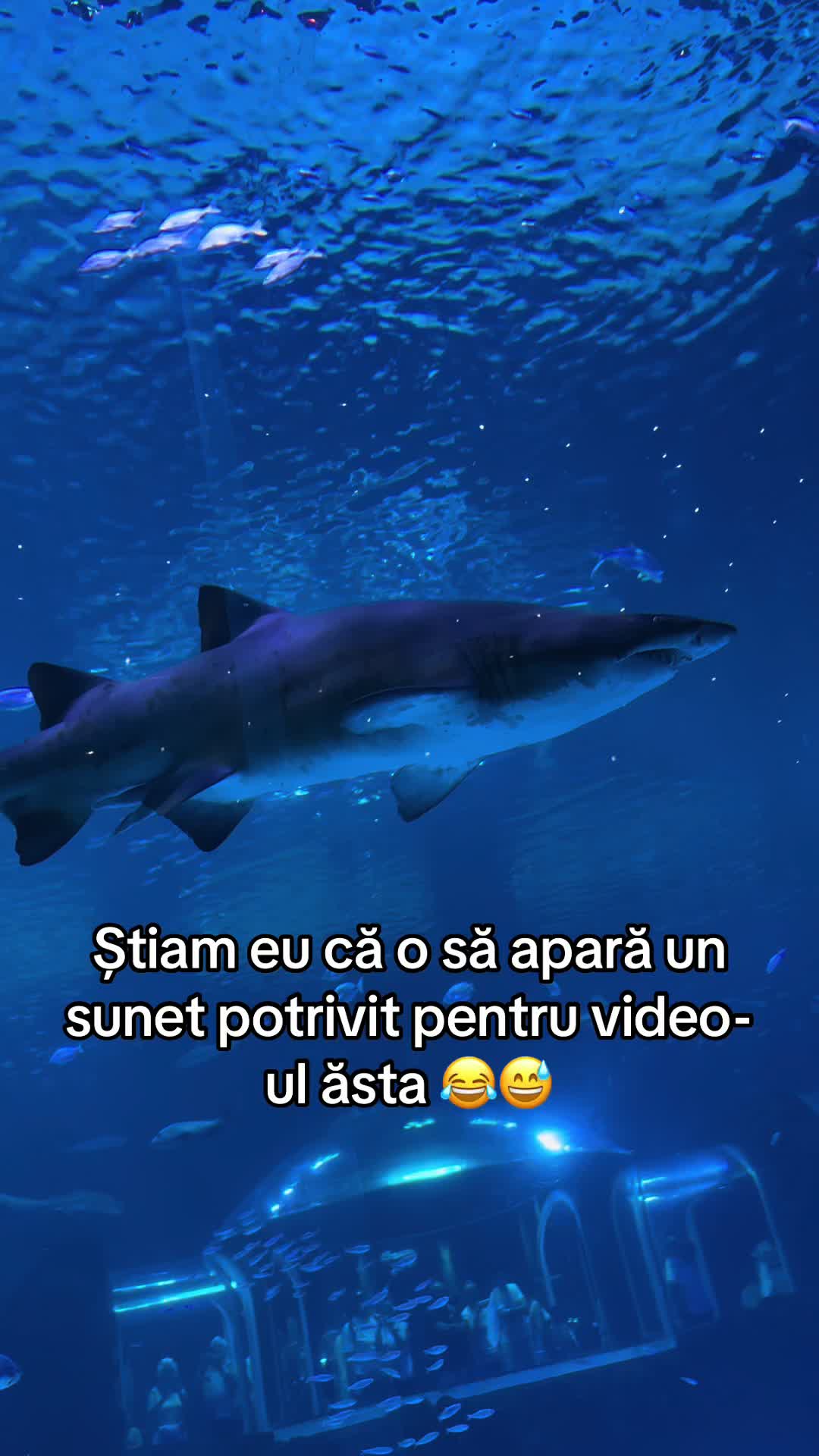 @Marina Poenaru