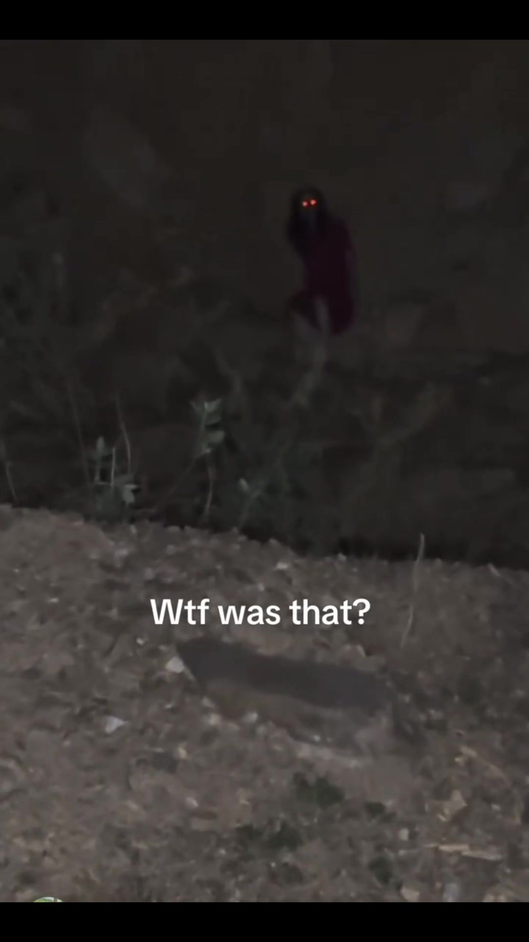 @Cryptid