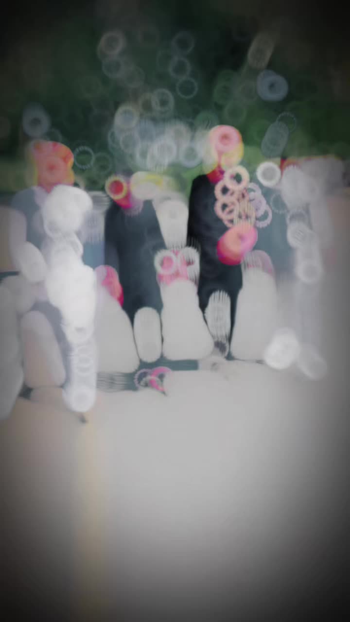 @abubakarrajasab