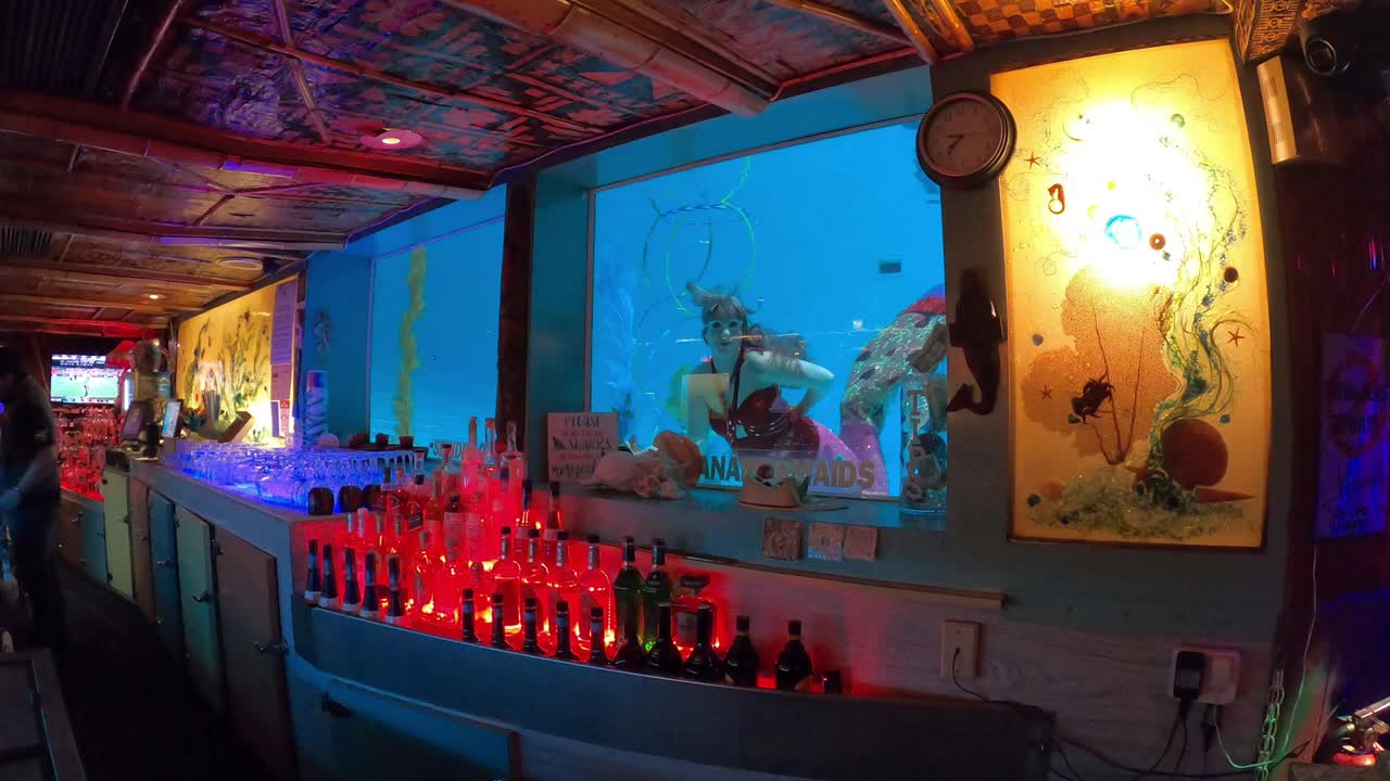 @Little Mermaid Aerial